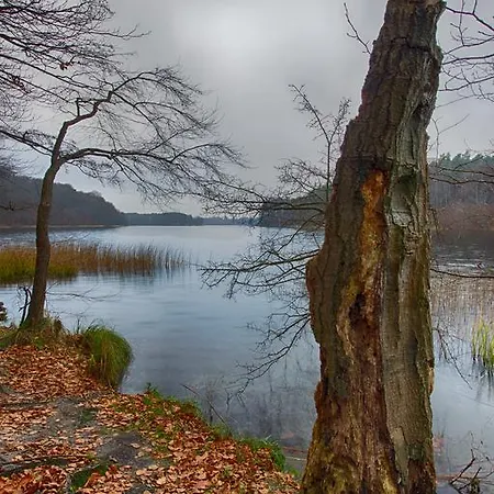 Am Liepnitzsee Gasthuis 3*