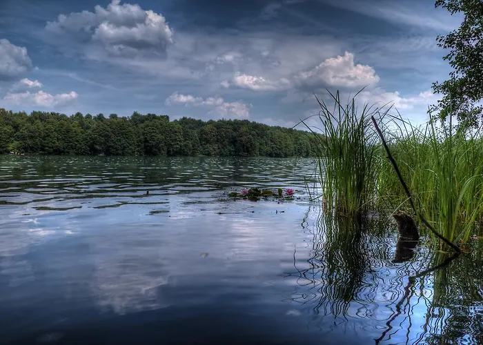 Casa de hóspedes Am Liepnitzsee