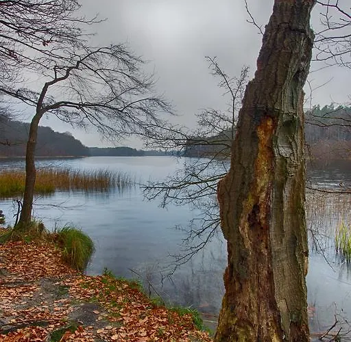 Am Liepnitzsee Casa de hóspedes 3*