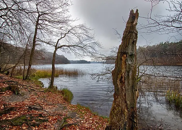 Casa de hóspedes Am Liepnitzsee